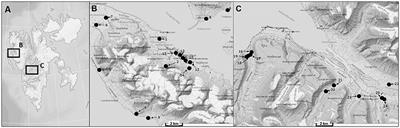 Biological Soil Crusts of Arctic Svalbard—Water Availability as Potential Controlling Factor for Microalgal Biodiversity